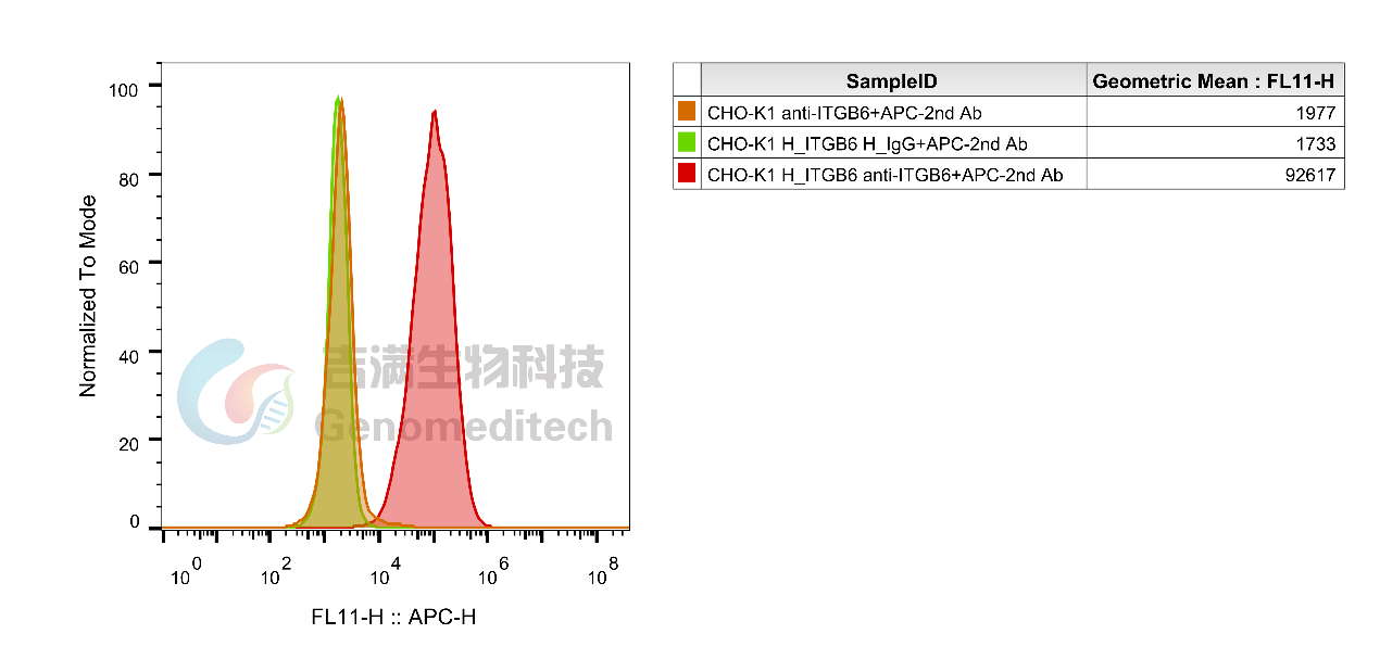 GM-81622AB-1.png