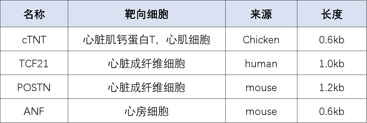 /ueditor/image/20250617/1750143283112876/f2a621f56477dc0b83ebd3d37b259b2f.png