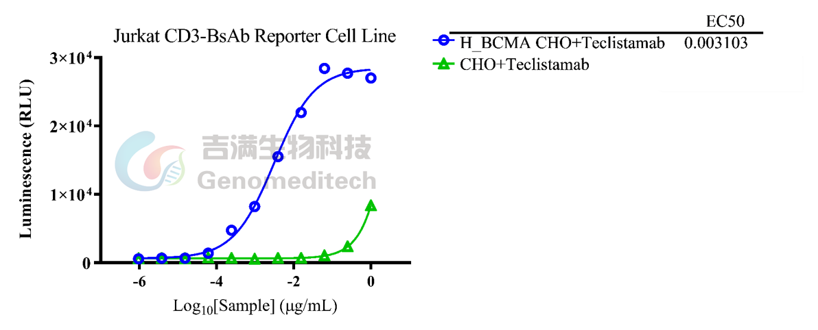 /ueditor/image/20250709/1752028134232961/76ab15c0d7d406e5493a30e3a88bca77.png