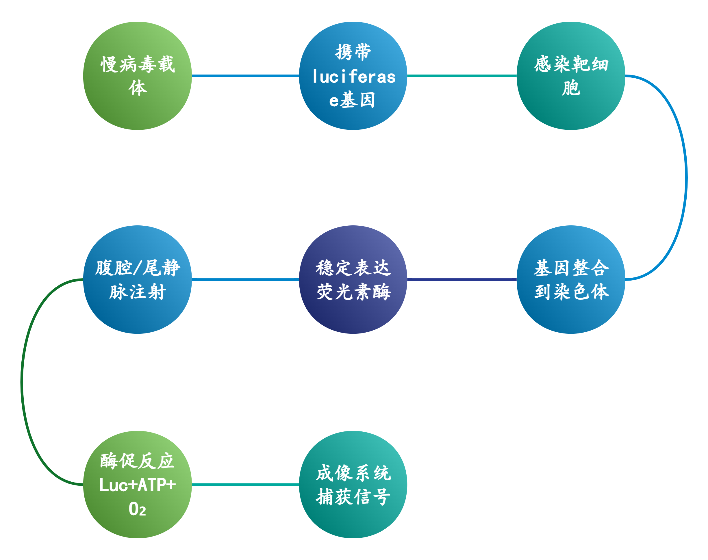 /ueditor/image/20250715/1752558221950638/ccdd22c3642ac989a2c003f0aad157e2.png