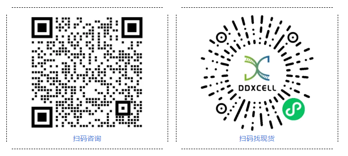 /ueditor/image/20251211/1765423216117743/e69afd65743d87ba6d1e6cfeda237153.png image.png