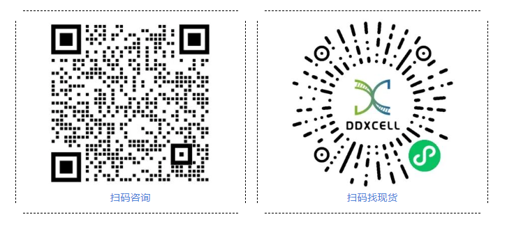 /ueditor/image/20260108/1767837485748590/a467eacda3ceffdfa4dcb264b1d9c148.png image.png