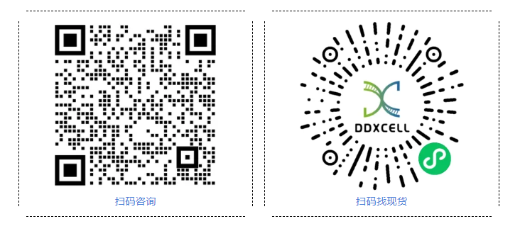 /ueditor/image/20260122/1769045933880553/0a10772c52f09a970cb064a2ac27de2b.png image.png