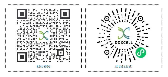 /ueditor/image/20260127/1769507024051149/005bd33bf572e5056a2f54dfb743015c.png image.png